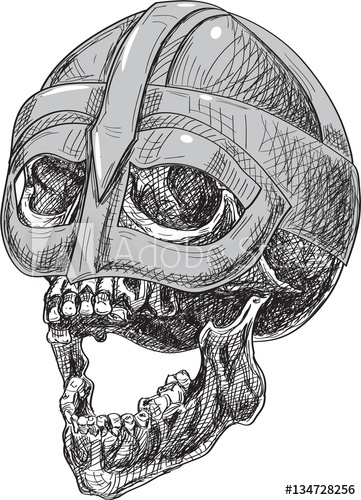 361x500 Side Viking Skull In Helmet