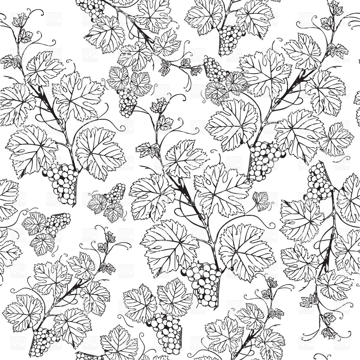 1200x1200 Grape Vine Sketch Pattern Vector Image Vector Artwork Of Plants