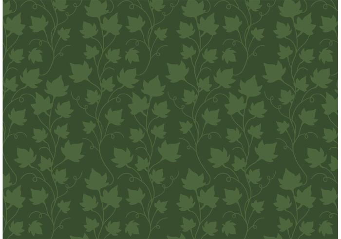 700x490 Vine Free Vector Art