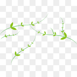 260x260 Simple Vine Png Images Vectors And Psd Files Free Download On