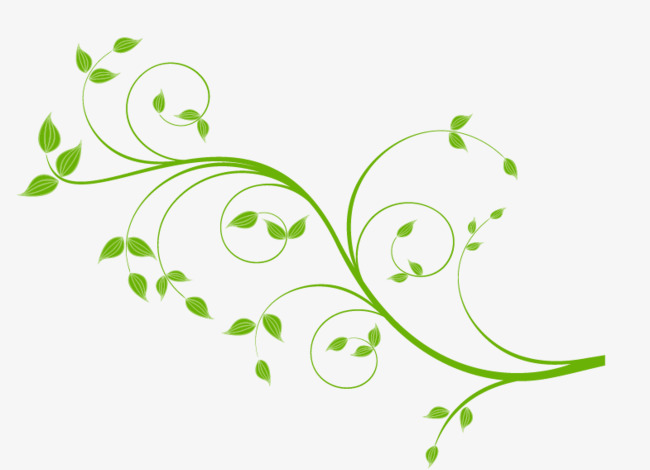 Download Vine Vector at GetDrawings.com | Free for personal use ...