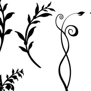 300x300 Collection Of Free Curlycue Clipart Vine. Download On Ubisafe