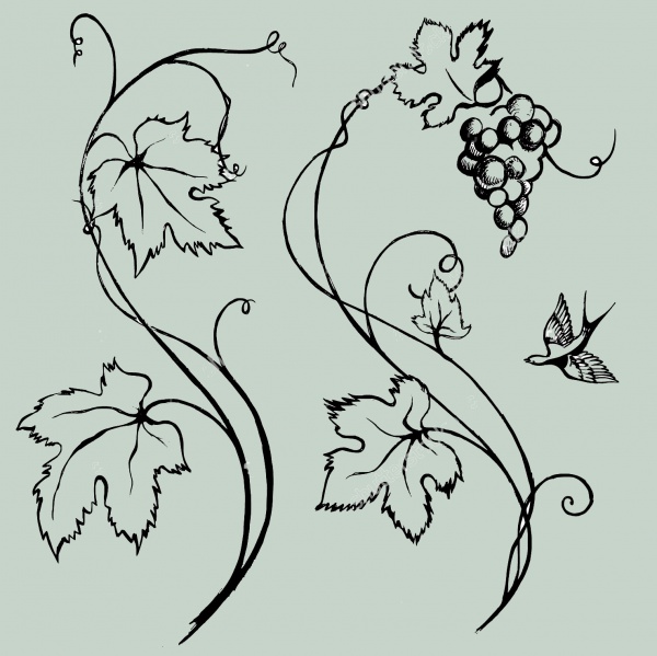 600x599 Drawn Vine Vector 3474619
