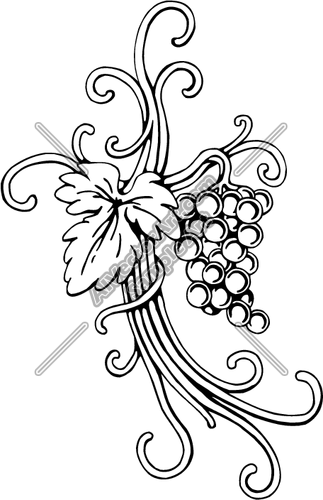 323x500 Grape Vine Clipart And Vectorart Religious