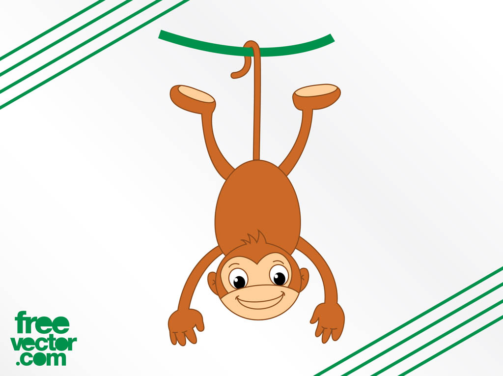 1024x765 Monkey And Vine Vector Art Amp Graphics