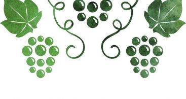 367x195 Watercolor Grape Vine Vector Free Vector Art, Images, Graphics