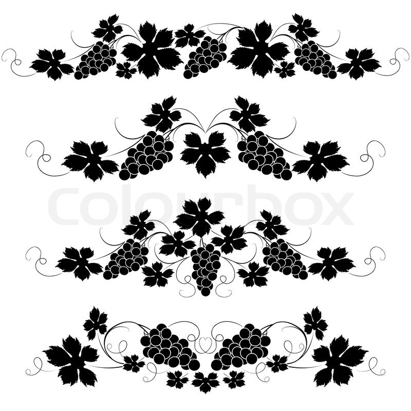 800x800 Decorative Elements From The Vine On A White Background Stock