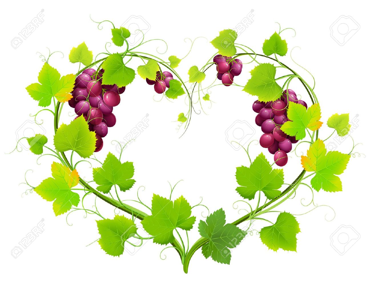 1300x1020 Grape Vine Vector Clipart 71 Clipart