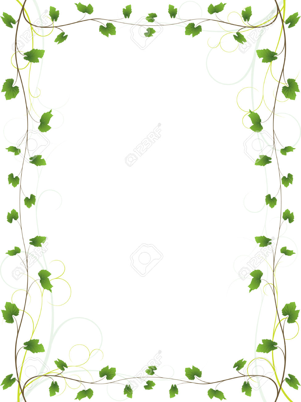 975x1300 Vector Frame Clipart Vine