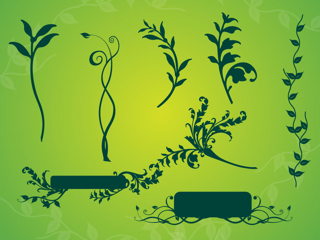 1024x768 Vine Plant Graphics