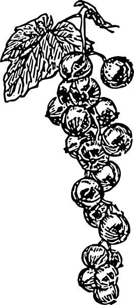 264x598 Free Vector Grape Vine Clip Art Wine Rack Grape Vines