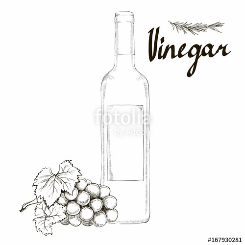 500x500 Wine Vinegar In The Bottle Vector, Outline. Stock Image And