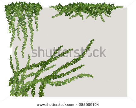 450x358 Drawn Vine Vector Free Collection Download And Share Drawn Vine