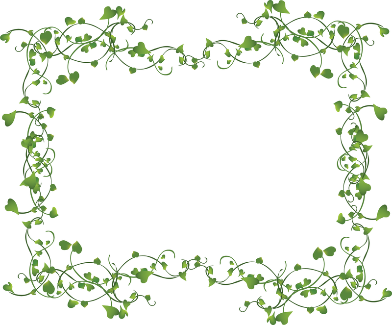 800x663 Vines Frame Vector