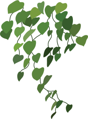 297x400 Vines Vector
