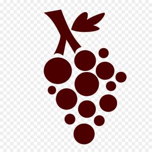 300x300 Decorative Grape Vines Vector Frame Sohadacouri