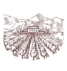 236x248 Pin By Eva Estalella On 3 Landscaping