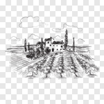 150x150 Slipart Wine Vineyard Grape Vine Sketch Vector Cut Out Billionphotos