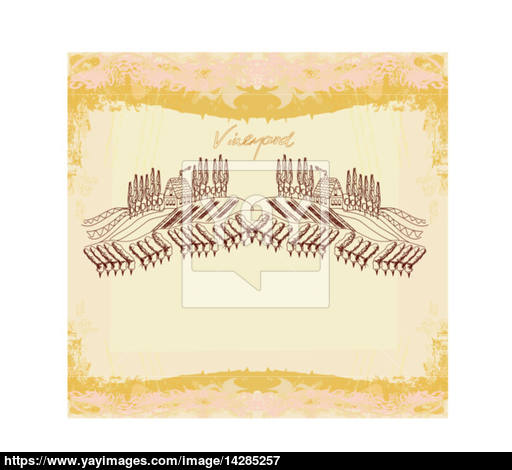 512x470 Vector Illustration Of Vineyard Vector