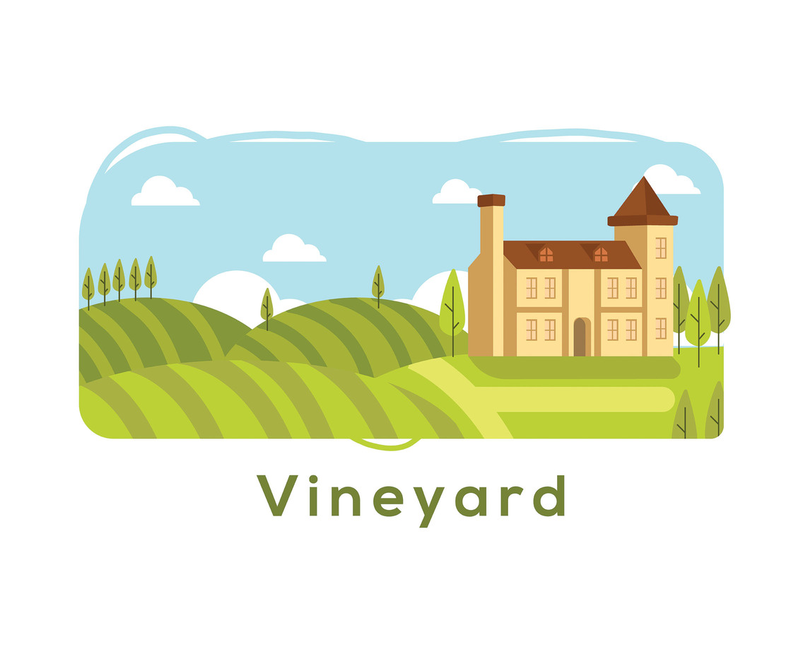 1136x936 Vineyard Illustration Vector Vector Art Amp Graphics