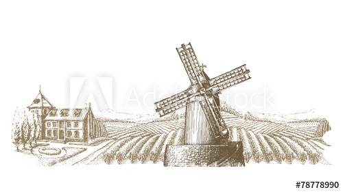 500x281 Vineyard Vector Logo Design Template. Farm Or Bountiful Harvest