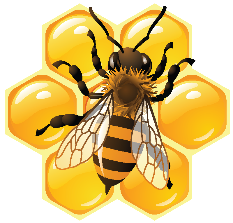 800x764 Collection Of Free Vector Bee Vintage. Download On Ubisafe