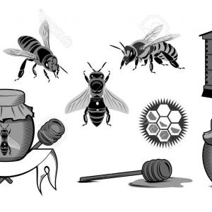 300x300 Vintage Frame With Honey Label Vector Sohadacouri