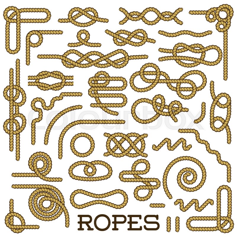800x800 Big Set Of Nautical Rope Knots Vector Decorative Vintage Elements