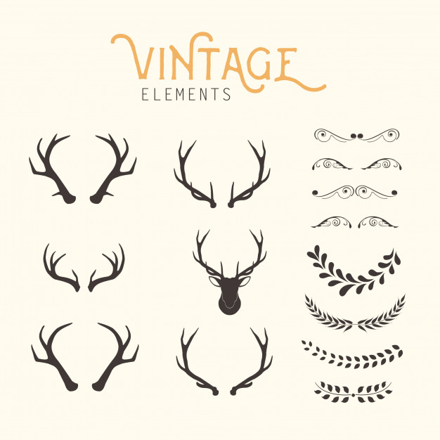 626x626 Vintage Elements Vector Free Download