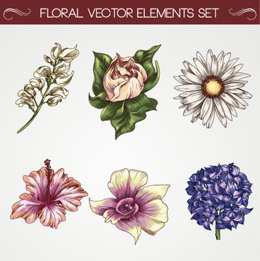 366x368 Vintage Flower Vectors Free Vector Download (16,345 Free Vector