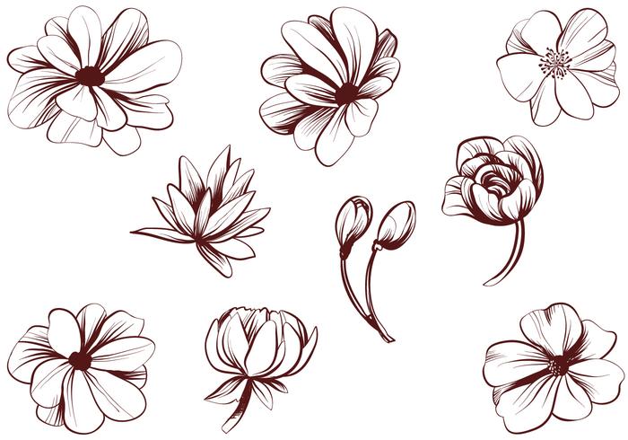 700x490 Free Vintage Detailed Flower Vectors