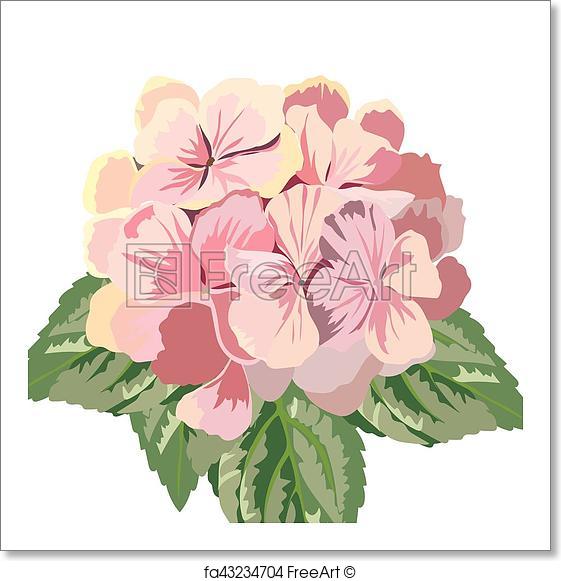 561x581 Free Art Print Of Vintage Vector Card With Watercolor Geranium