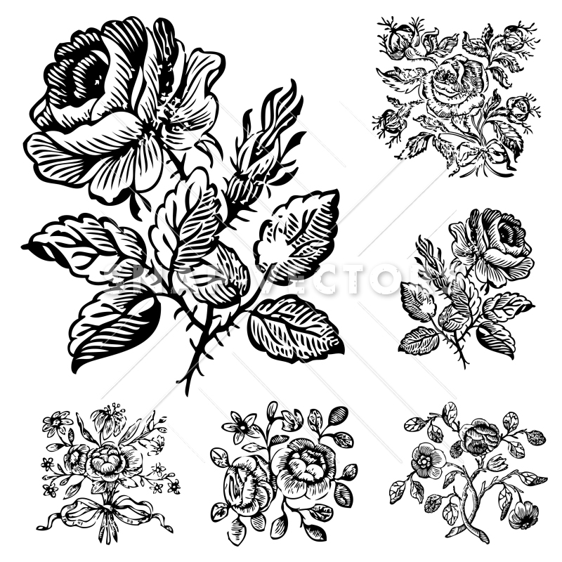 800x800 Vector Clipart Vintage Flower And Rose Ornaments