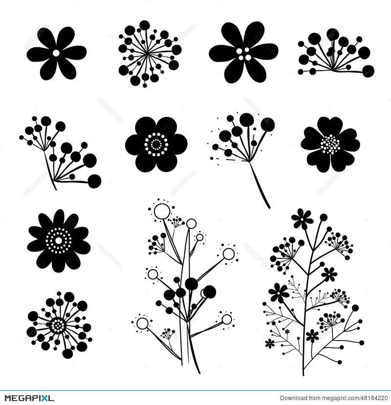 800x830 Vintage Flower Vector Illustration 48184220