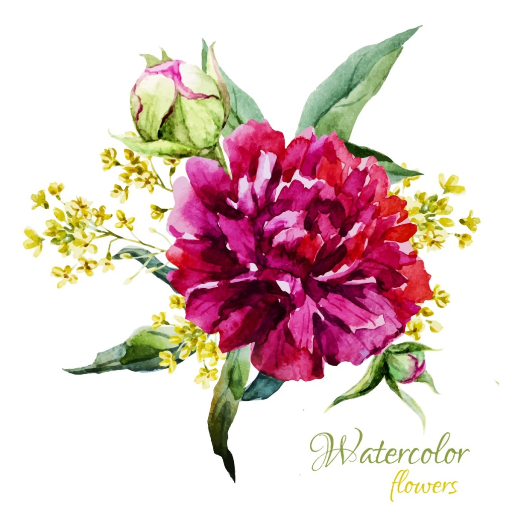 1024x1024 Hand Drawn Flowers Vector Free Download Eps Files