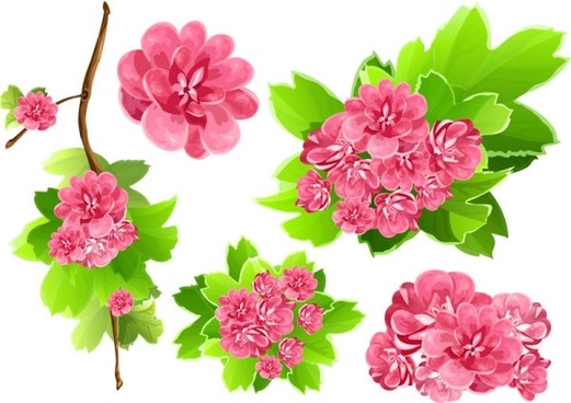 521x368 Flower Free Vector Download (10,529 Free Vector) For Commercial