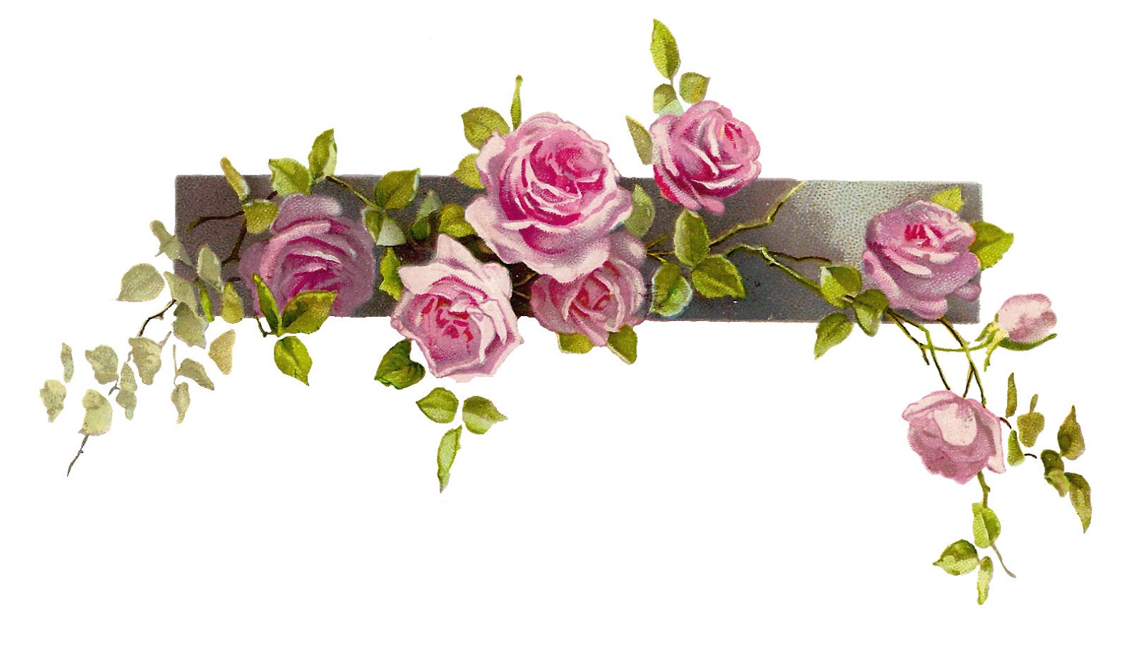 1600x904 Flower Border Image Library Stock Png