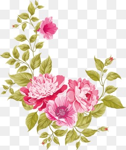 260x309 Flowers Vector Material Png Images Vectors And Psd Files Free