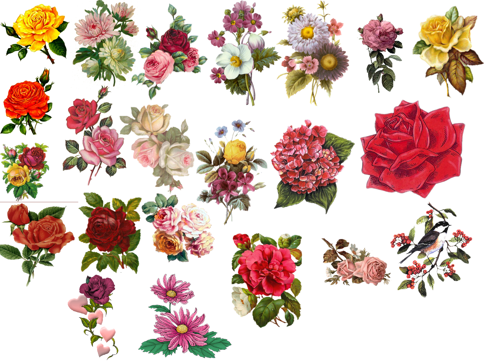 1600x1200 Vintage Flower Clipart Black And White Stock Purple