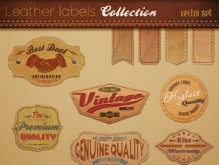310x233 Various Elements Vintage Labels Vector Free Vectors Ui Download
