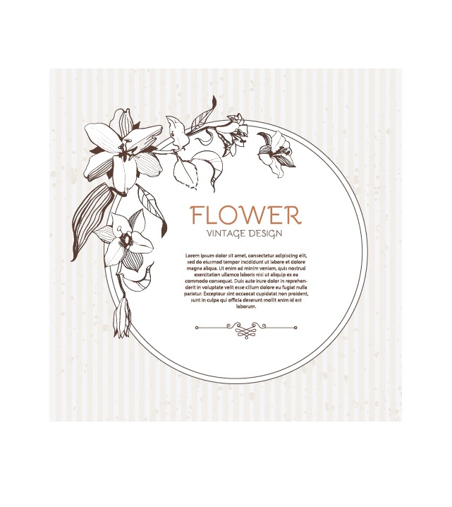 641x718 Hand Drawn Flower Vintage Frame Vector 02 Free Vectors Ui Download
