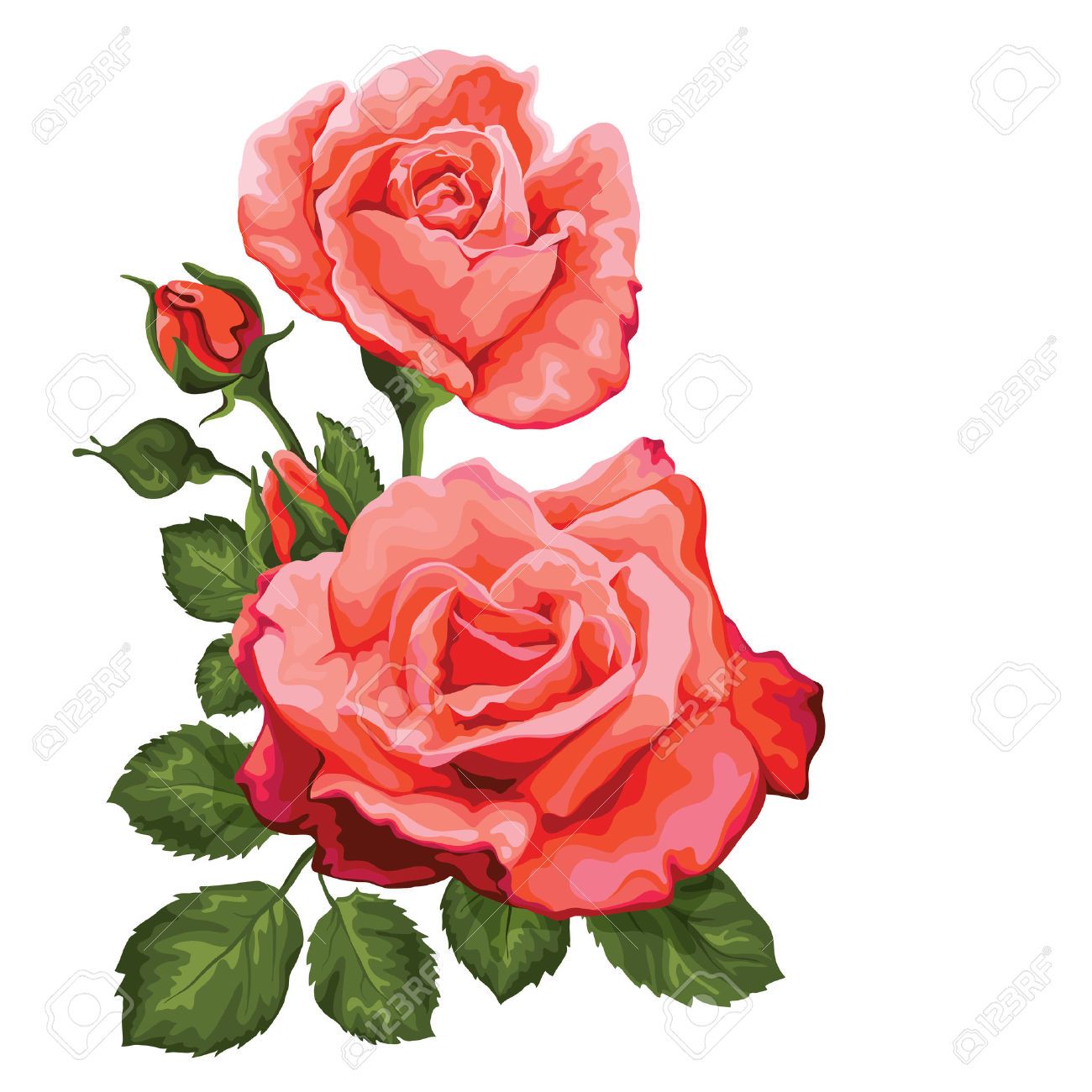 1300x1300 Pink Vintage Roses Vector Illustration Stencils Patterns And