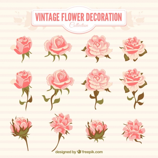 626x626 Yellow Rose Vectors, Photos And Psd Files Free Download