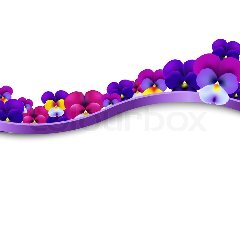 800x796 Violet Flowers Pansies Border With Gradient Mesh, Vector