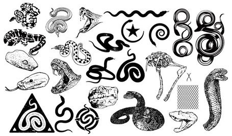 455x267 Free Gomedia Chupin Viper Clipart And Vector Graphics