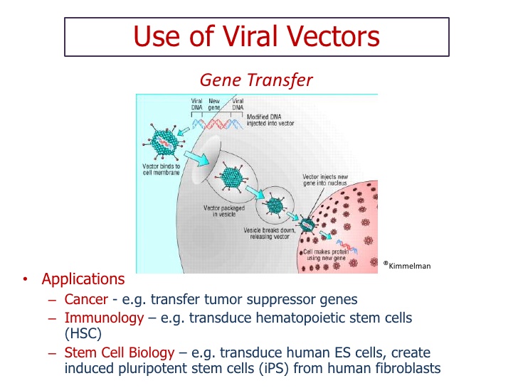728x546 Final Ppt Viral Vectors