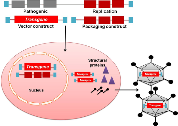 572x405 Nptel Biotechnology