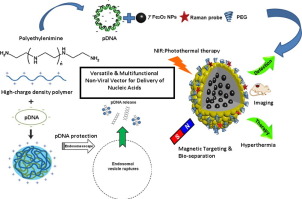 302x199 Polyethylenimine A Versatile, Multifunctional Non Viral Vector