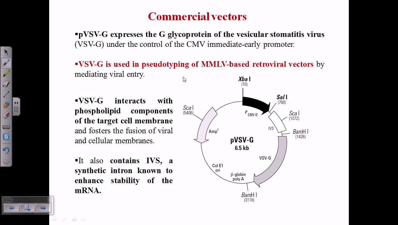 1360x768 Pseudotyping Of Viral Vectors