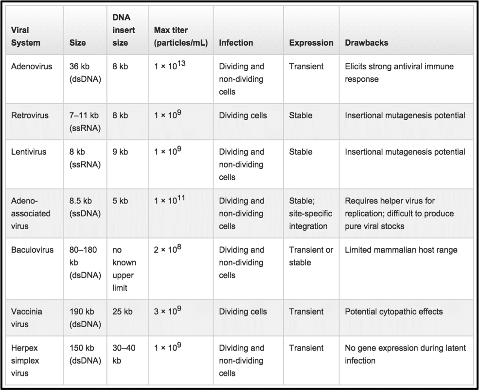 985x801 Comparing Viral Vector Expression Systems